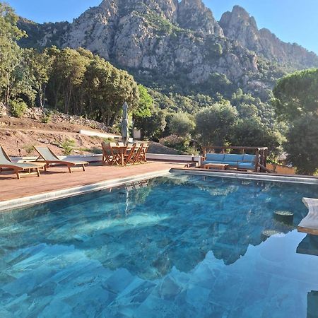 Appartement Jardin Et Piscine Les Anges Du Maquis Location Corse-Du-Sud 孔卡 外观 照片