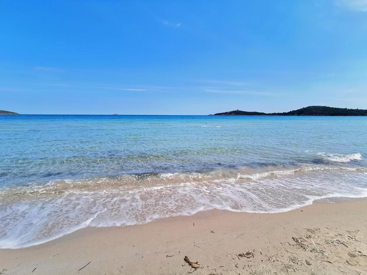Appartement Jardin Et Piscine Les Anges Du Maquis Location Corse-Du-Sud 孔卡 外观 照片